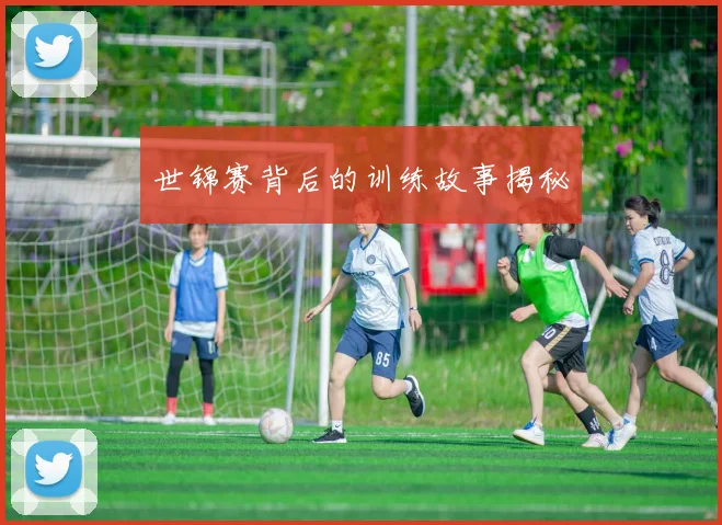 世锦赛背后的训练故事揭秘