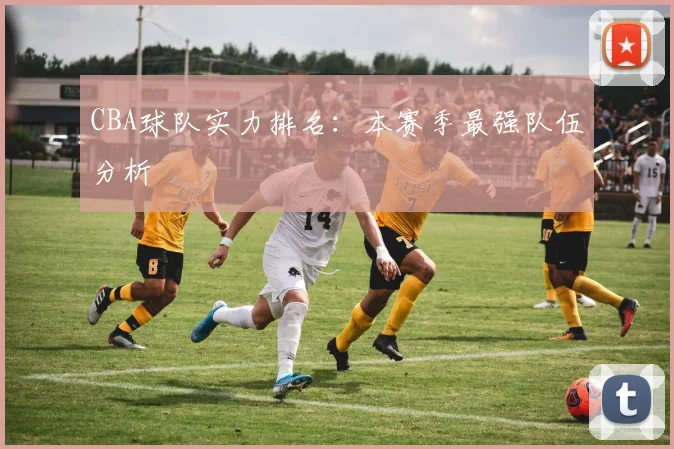 CBA球队实力排名：本赛季最强队伍分析