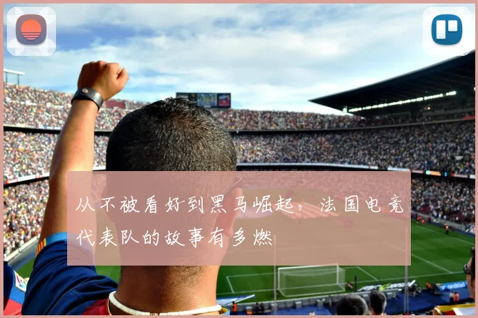 从不被看好到黑马崛起,法国电竞代表队的故事有多燃
